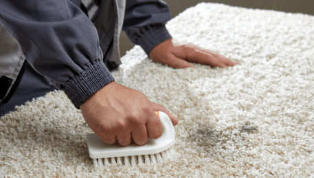 Professional Rug Cleaning Riddells Creek